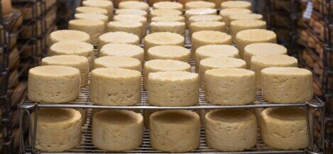 viator: scopri i sapori tipici. Alto Adige Südtirol