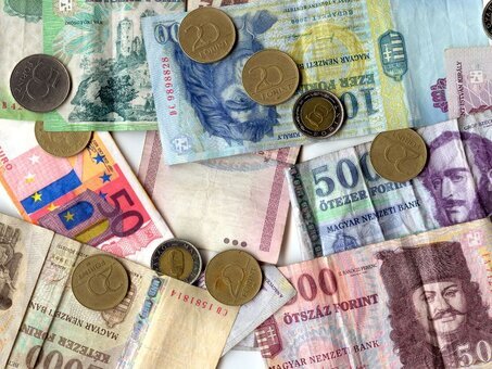 Cambio valuta online. Cambio valuta online: dove cambiare i soldi prima di partire.