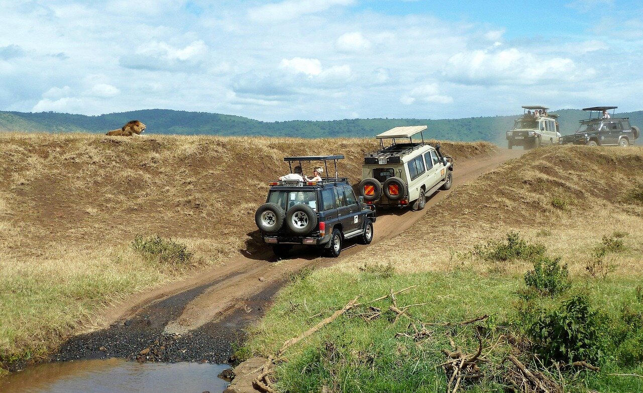 Safari in Tanzania. Safari in Tanzania: la magia della savana.