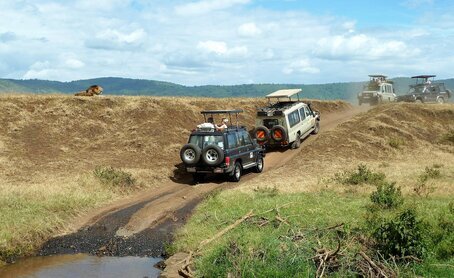 Safari in Tanzania. Safari in Tanzania: la magia della savana.