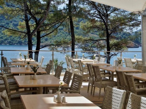 Cilento – dove mangiare e bere Cilento – dove mangiare e bere