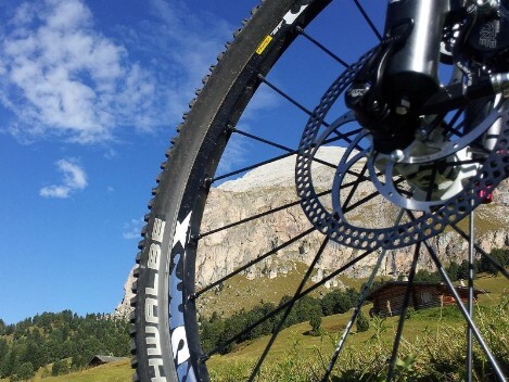 Servizi turistici - Dolomiti friulane