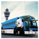 Viaggi in autobus low cost.