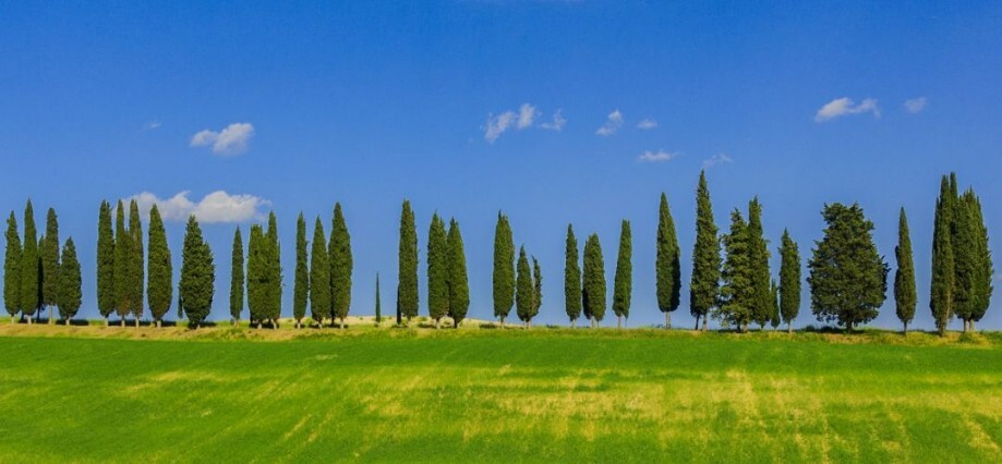 offerte appartamenti e residence in Toscana