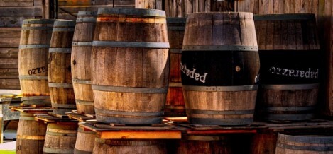 Wineries Experience: le migliori esperienze. Puglia
