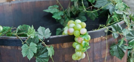 Winedering: scopri i sapori tipici a Lecce e dintorni