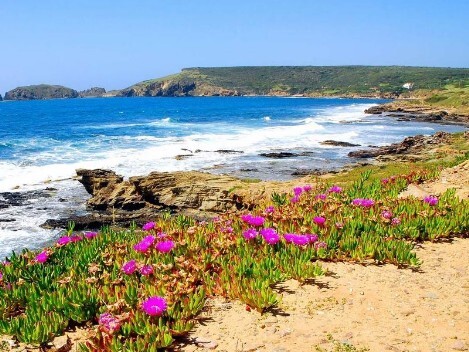 Sardegna – Medio Campidano Sardegna – Medio Campidano