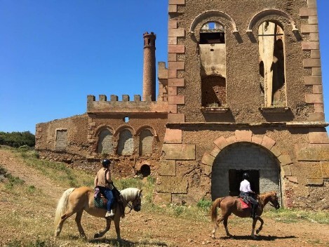 Servizi turistici - Barbagia