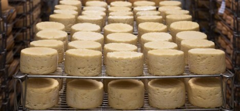 viator: scopri i sapori tipici. Sicilia