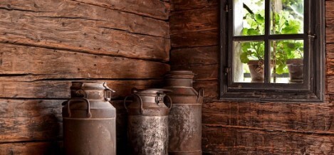 Wineries Experience: le migliori esperienze. Sicilia