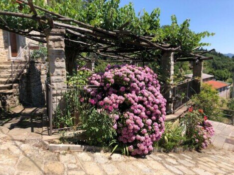 Toscana – Casentino Toscana – Casentino