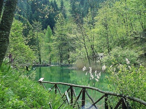 Toscana – Casentino Toscana – Casentino