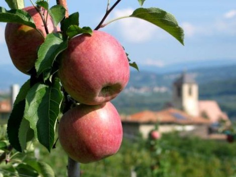 Trentino – Val di Non