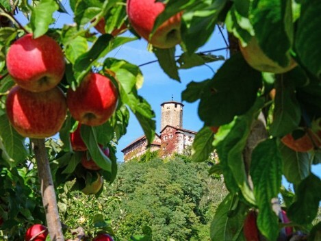 Trentino – Val di Non